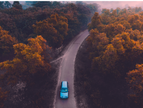 The role of plastics in the sustainability of the automotive sector