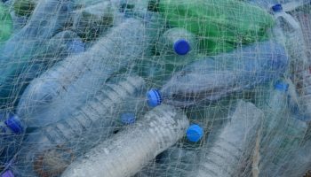 Why is traceability so important in plastics recycling?